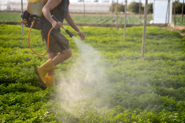  Merced, CA Pest Control Pros