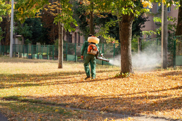 Best Residential Pest Control  in Merced, CA