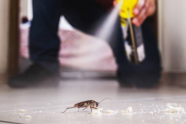 Best Best Pest Control Companies  in Merced, CA