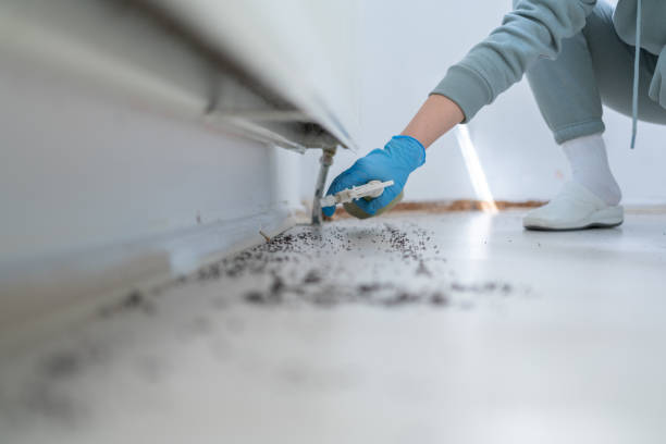 Best Emergency Pest Control  in Merced, CA